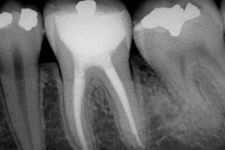 Adriane Paglia - Odontologia